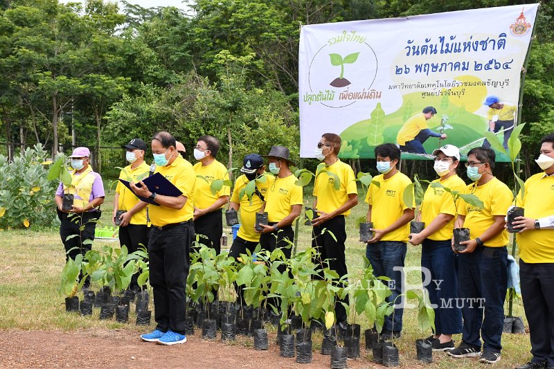 20210526-Tree planting dayt-060.JPG